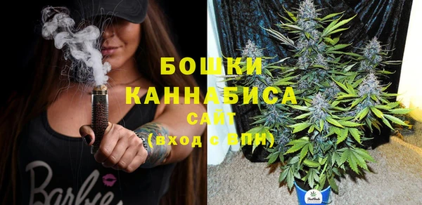 СК Семилуки