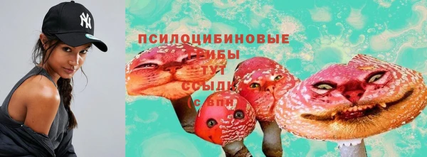 СК Семилуки