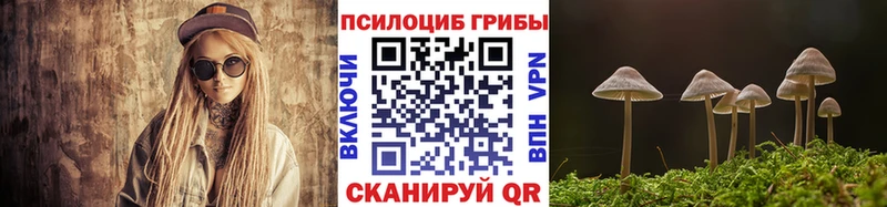 где найти   Алатырь  Псилоцибиновые грибы ЛСД 