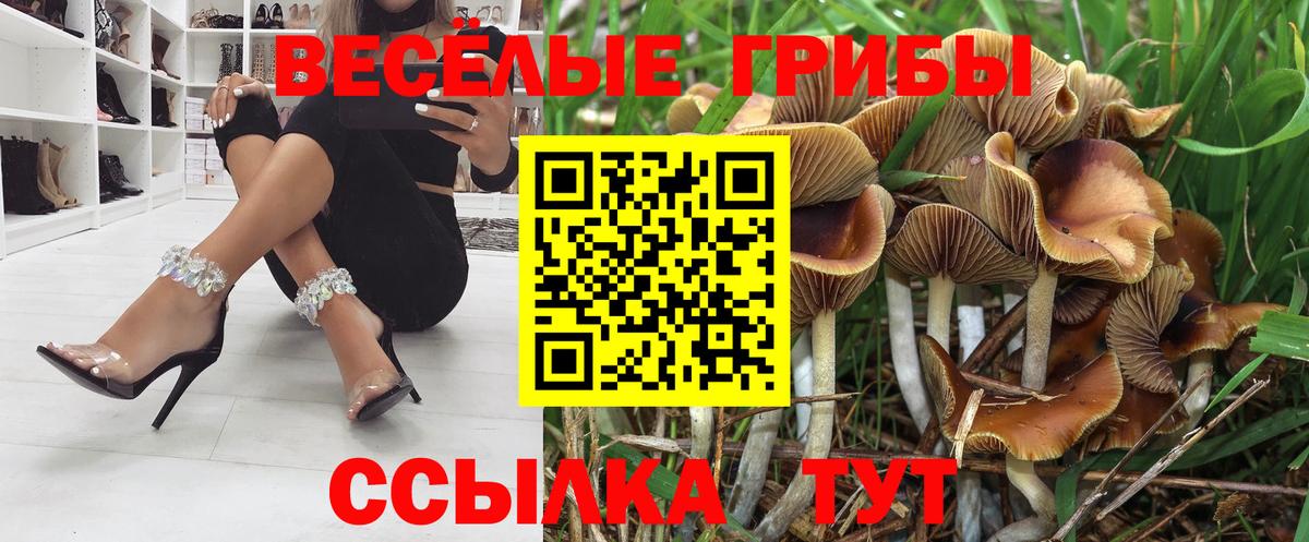 Галлюциногенные грибы GOLDEN TEACHER  купить  цена  Алатырь 