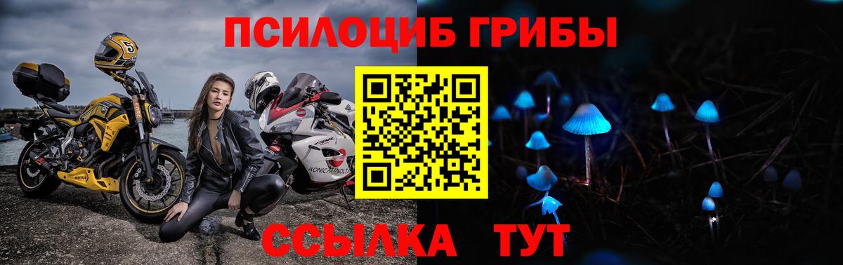 Галлюциногенные грибы мицелий  Галлюциногенные грибы GOLDEN TEACHER  купить закладку  Алатырь  Вход с VPN 