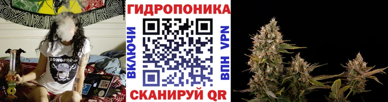 даркнет сайт  OMG ссылка  МАРИХУАНА SATIVA & INDICA  Алатырь 