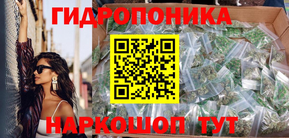 Шишки марихуана тримм  Шишки марихуана Amnesia  Канабис сатива  Бошки Шишки OG Kush  Алатырь 